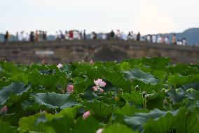 (ZhejiangPictorial)CHINA-ZHEJIANG-HANGZHOU-WEST LAKE-TOURISM (CN)
