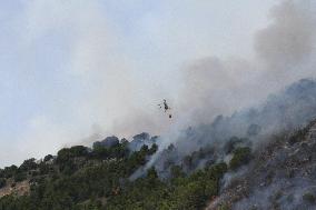 Wildfires Around Palermo