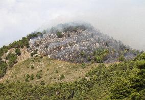 Wildfires Around Palermo