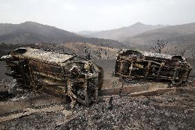 ALGERIA-BEJAIA-WILDFIRES-AFTERMATH