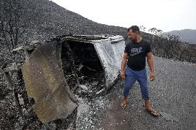 ALGERIA-BEJAIA-WILDFIRES-AFTERMATH