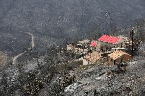 ALGERIA-BEJAIA-WILDFIRES-AFTERMATH