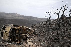 At Least 34 Dead Following Forest Fires In Algeria