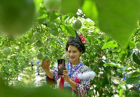 Live Broadcast Sell Fruits in Qiandongnan, China