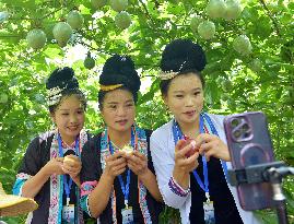Live Broadcast Sell Fruits in Qiandongnan, China