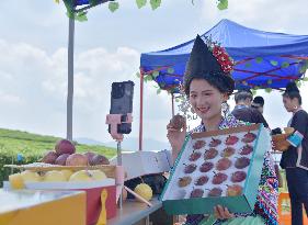 Live Broadcast Sell Fruits in Qiandongnan, China