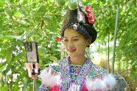 Live Broadcast Sell Fruits in Qiandongnan, China