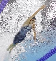World aquatics championships