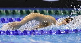 World aquatics championships