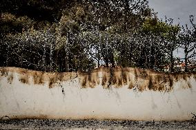 Aftermath Of Wildfire In San Cataldo, Lecce