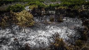 Drone View of Wildfire Aftermath in San Cataldo, Lecce