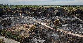 Drone View of Wildfire Aftermath in San Cataldo, Lecce