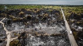 Drone View of Wildfire Aftermath in San Cataldo, Lecce