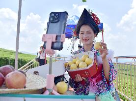 Live Broadcast Sell Fruits in Qiandongnan, China