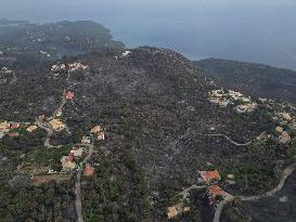 Drone View Of Wildfire In Corfu, Greece