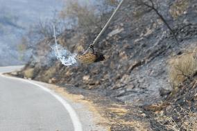 Wildfires Continue On Corfu Island