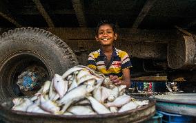 Bangladesh: Fish Market