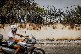 Aftermath Of Wildfire In San Cataldo, Lecce