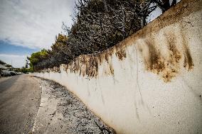 Aftermath Of Wildfire In San Cataldo, Lecce