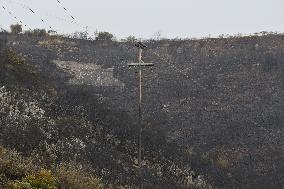 Wildfires Continue On Corfu Island