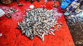 Bangladesh: Fish Market