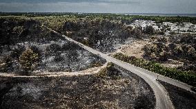 Drone View of Wildfire Aftermath in San Cataldo, Lecce