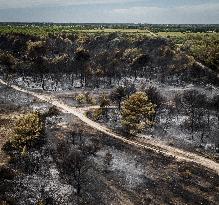 Drone View of Wildfire Aftermath in San Cataldo, Lecce