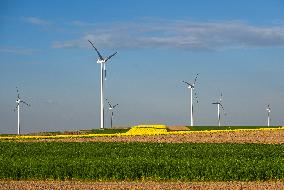 Agriculture In Poland