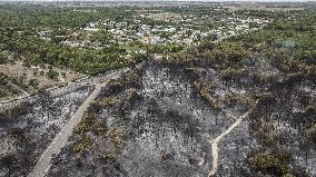 Drone View of Wildfire Aftermath in San Cataldo, Lecce