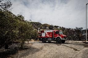 Aftermath Of Wildfire In San Cataldo, Lecce