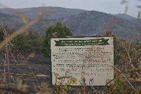 Wildfires Continue On Corfu Island