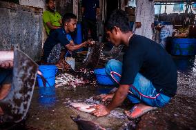 Bangladesh: Fish Market