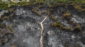 Drone View of Wildfire Aftermath in San Cataldo, Lecce