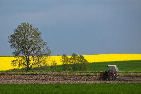 Agriculture In Poland