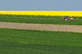 Agriculture In Poland