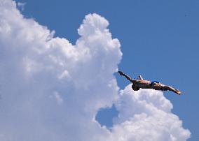 (SP)JAPAN-FUKUOKA-WORLD AQUATICS CHAMPIONSHIPS-HIGH DIVING-MEN