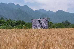 Xinhua Headlines: Avant-garde art enlivens rural China amid revitalization drive