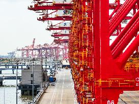 Taicang Zhenghe International Container Terminal Bridge cranes