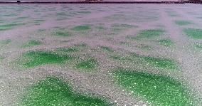 Artificial Salt Lake Emerald Lake in Mangya, China