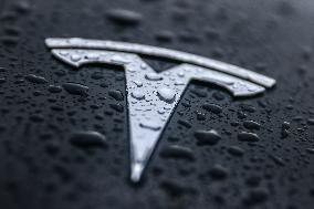 Tesla Car Emblem