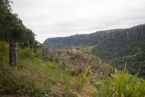 Macron Visits The Varirata National Park Forest - Papua New Guinea
