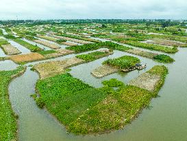 Globally Important Agricultural Heritage Site Xinghua Stack Field