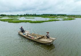 Globally Important Agricultural Heritage Site Xinghua Stack Field