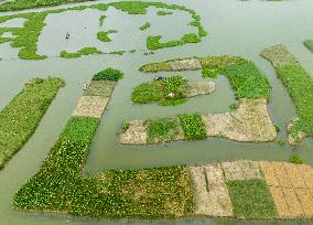 Globally Important Agricultural Heritage Site Xinghua Stack Field