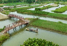 Globally Important Agricultural Heritage Site Xinghua Stack Field