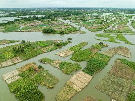 Globally Important Agricultural Heritage Site Xinghua Stack Field