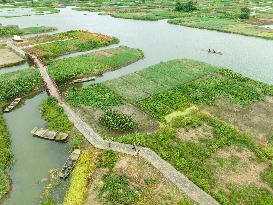 Globally Important Agricultural Heritage Site Xinghua Stack Field