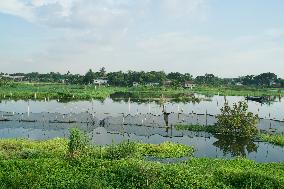 BANGLADESH-DHAKA-BRI PROJECT-SEWAGE PLANT-CLEAR WATERS