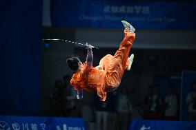 (Chengdu Universiade)CHINA-SICHUAN-CHENGDU-WORLD UNIVERSITY GAMES-WUSHU(CN)