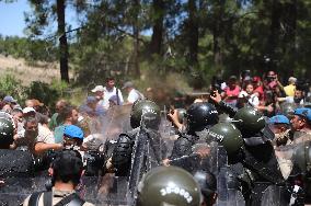 Protesters Occupy Forest To Stop Coal Mine Expansion - Turkey